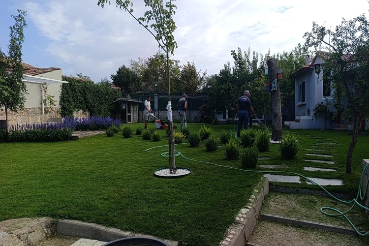 Ayvalık Bahçe Bakımı