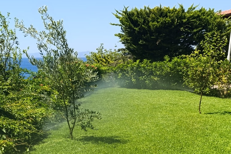 Ayvalık Otomatik Sulama Sistemleri